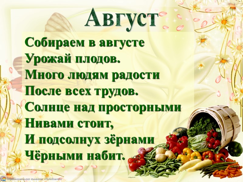 Собираем в августе  Урожай плодов. Много людям радости После всех трудов. Солнце над